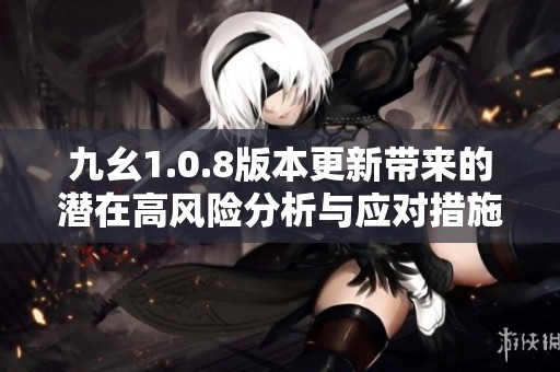 九幺1.0.8版本更新带来的潜在高风险分析与应对措施