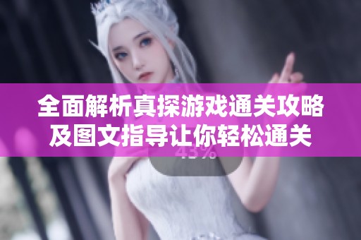 全面解析真探游戏通关攻略及图文指导让你轻松通关