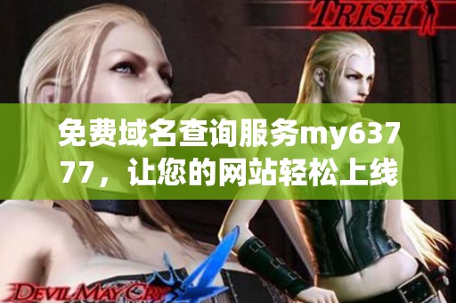 免费域名查询服务my63777，让您的网站轻松上线