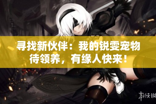 寻找新伙伴：我的锐雯宠物待领养，有缘人快来！