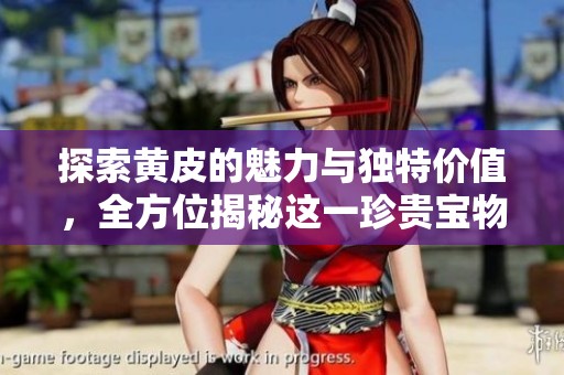 探索黄皮的魅力与独特价值，全方位揭秘这一珍贵宝物