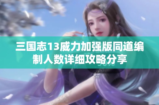 三国志13威力加强版同道编制人数详细攻略分享