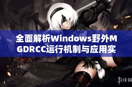 全面解析Windows野外MGDRCC运行机制与应用实例