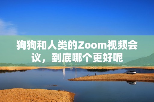 狗狗和人类的Zoom视频会议，到底哪个更好呢
