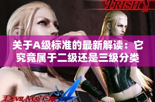关于A级标准的最新解读：它究竟属于二级还是三级分类