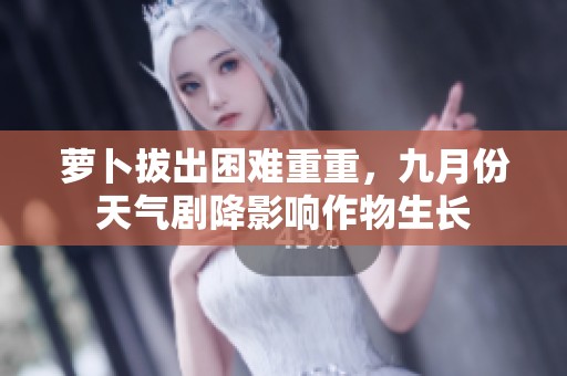 萝卜拔出困难重重，九月份天气剧降影响作物生长