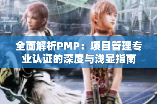 全面解析PMP：项目管理专业认证的深度与浅显指南