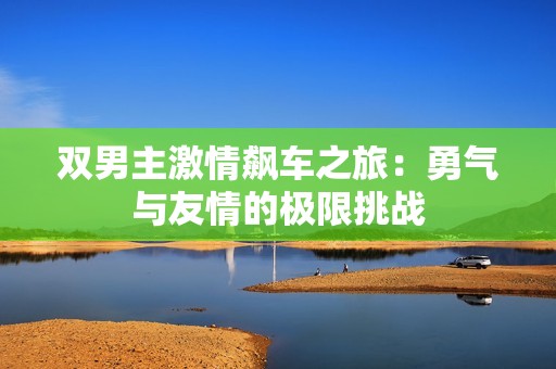 双男主激情飙车之旅：勇气与友情的极限挑战