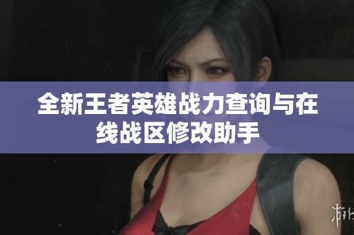 全新王者英雄战力查询与在线战区修改助手