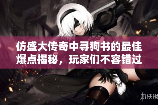 仿盛大传奇中寻狗书的最佳爆点揭秘，玩家们不容错过的攻略