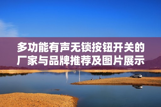 多功能有声无锁按钮开关的厂家与品牌推荐及图片展示