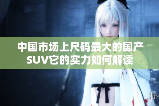 中国市场上尺码最大的国产SUV它的实力如何解读
