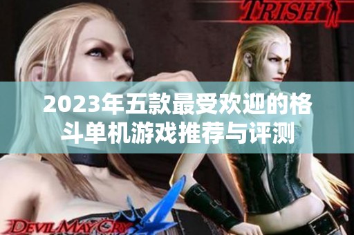 2023年五款最受欢迎的格斗单机游戏推荐与评测