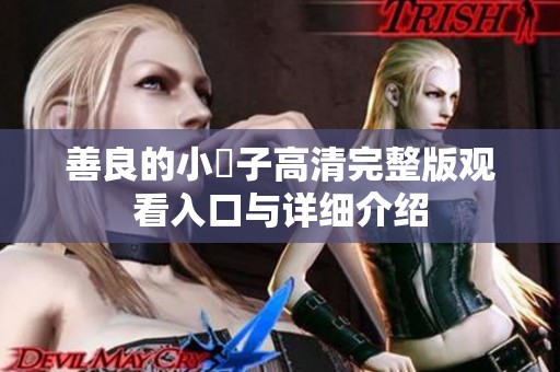 善良的小峓子高清完整版观看入口与详细介绍
