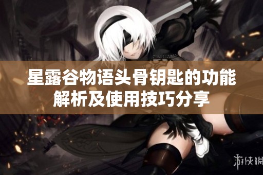星露谷物语头骨钥匙的功能解析及使用技巧分享