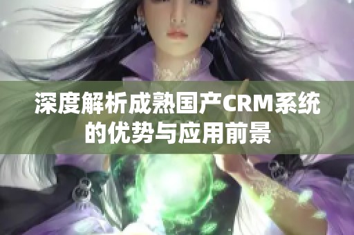 深度解析成熟国产CRM系统的优势与应用前景