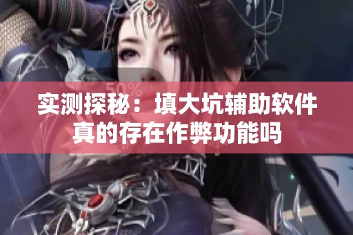 实测探秘：填大坑辅助软件真的存在作弊功能吗