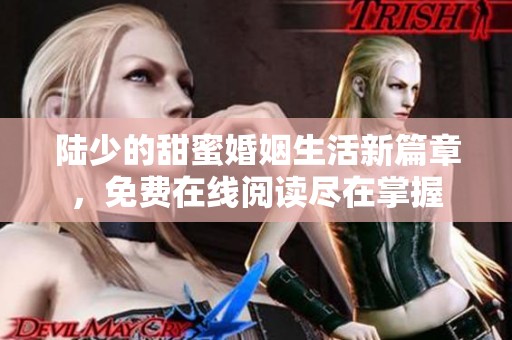 陆少的甜蜜婚姻生活新篇章，免费在线阅读尽在掌握