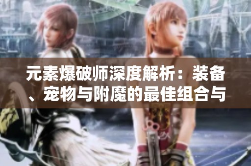 元素爆破师深度解析：装备、宠物与附魔的最佳组合与策略
