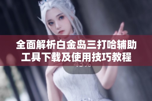 全面解析白金岛三打哈辅助工具下载及使用技巧教程