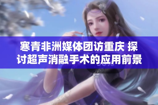 寒青非洲媒体团访重庆 探讨超声消融手术的应用前景