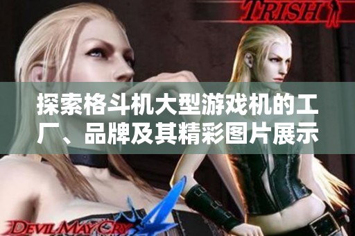 探索格斗机大型游戏机的工厂、品牌及其精彩图片展示