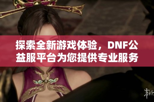 探索全新游戏体验，DNF公益服平台为您提供专业服务