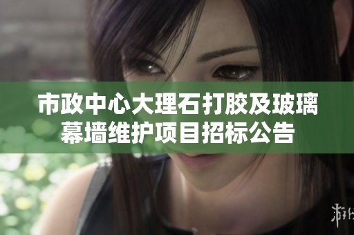 市政中心大理石打胶及玻璃幕墙维护项目招标公告