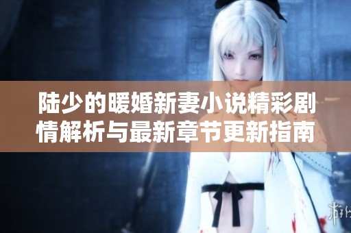 陆少的暖婚新妻小说精彩剧情解析与最新章节更新指南