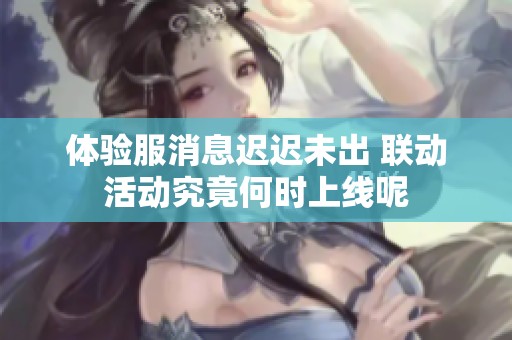 体验服消息迟迟未出 联动活动究竟何时上线呢