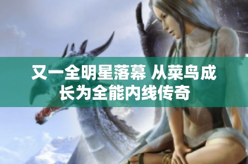 又一全明星落幕 从菜鸟成长为全能内线传奇