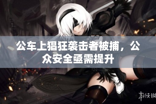 公车上猖狂袭击者被捕，公众安全亟需提升
