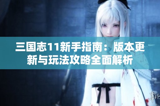 三国志11新手指南：版本更新与玩法攻略全面解析