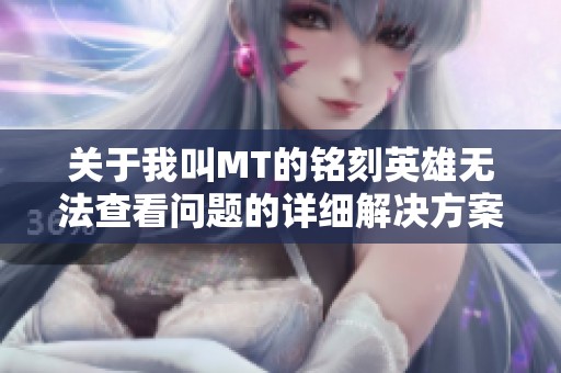 关于我叫MT的铭刻英雄无法查看问题的详细解决方案