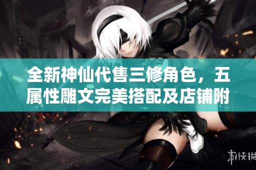 全新神仙代售三修角色，五属性雕文完美搭配及店铺附赠