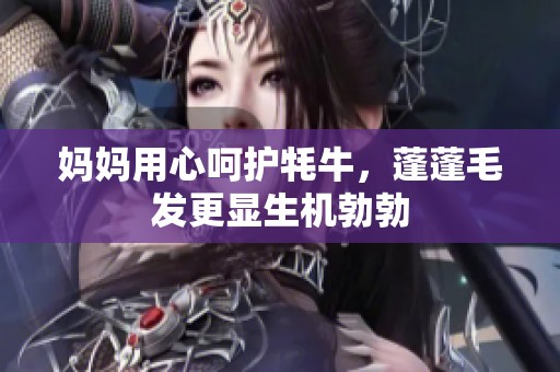 妈妈用心呵护牦牛，蓬蓬毛发更显生机勃勃