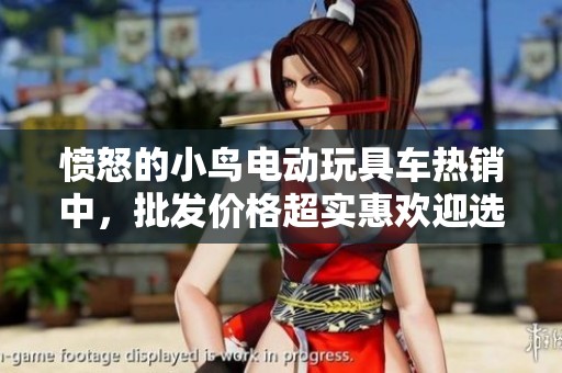 愤怒的小鸟电动玩具车热销中，批发价格超实惠欢迎选购