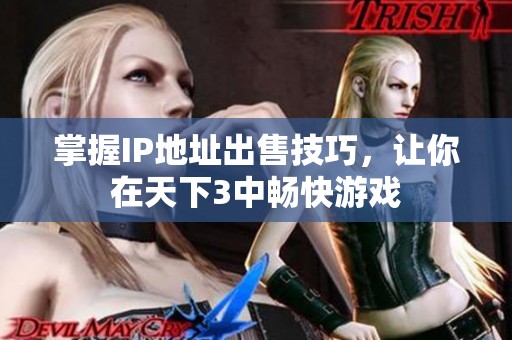 掌握IP地址出售技巧，让你在天下3中畅快游戏