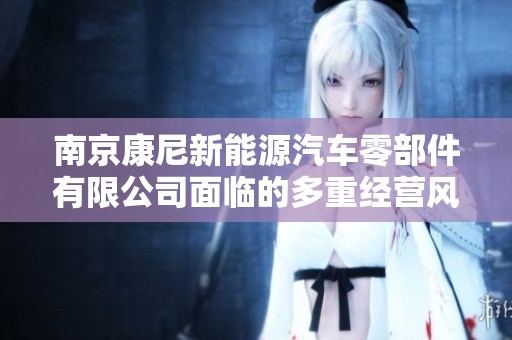 南京康尼新能源汽车零部件有限公司面临的多重经营风险分析