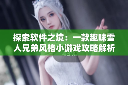 探索软件之境：一款趣味雪人兄弟风格小游戏攻略解析