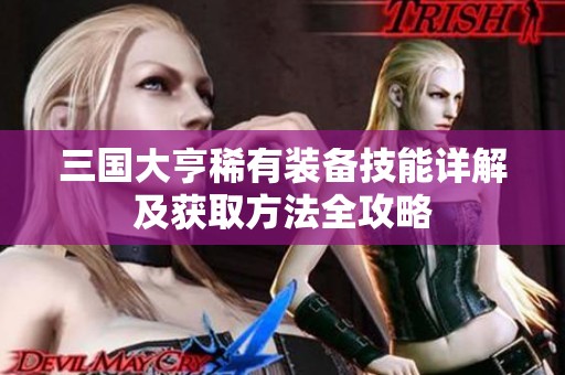 三国大亨稀有装备技能详解及获取方法全攻略