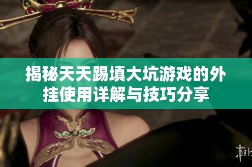 揭秘天天踢填大坑游戏的外挂使用详解与技巧分享