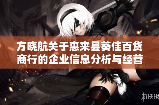 方晓航关于惠来县葵佳百货商行的企业信息分析与经营状况探讨