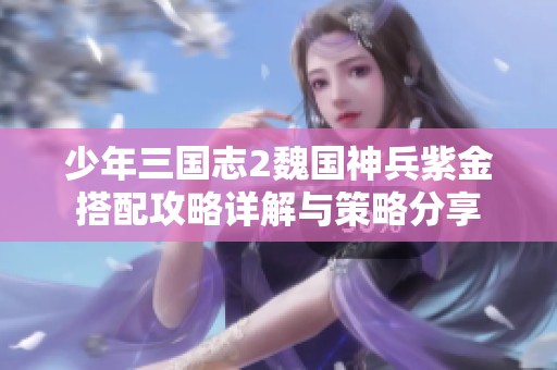 少年三国志2魏国神兵紫金搭配攻略详解与策略分享