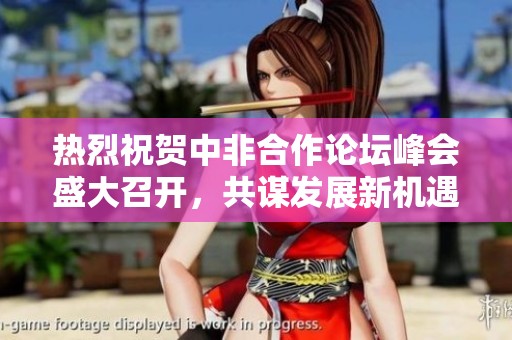 热烈祝贺中非合作论坛峰会盛大召开，共谋发展新机遇！