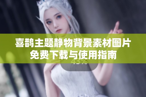 喜鹊主题静物背景素材图片免费下载与使用指南