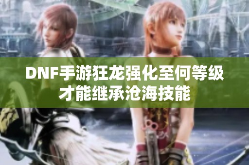 DNF手游狂龙强化至何等级才能继承沧海技能