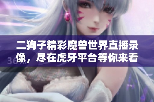 二狗子精彩魔兽世界直播录像，尽在虎牙平台等你来看！