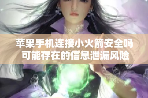 苹果手机连接小火箭安全吗 可能存在的信息泄漏风险解析