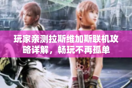 玩家亲测拉斯维加斯联机攻略详解，畅玩不再孤单